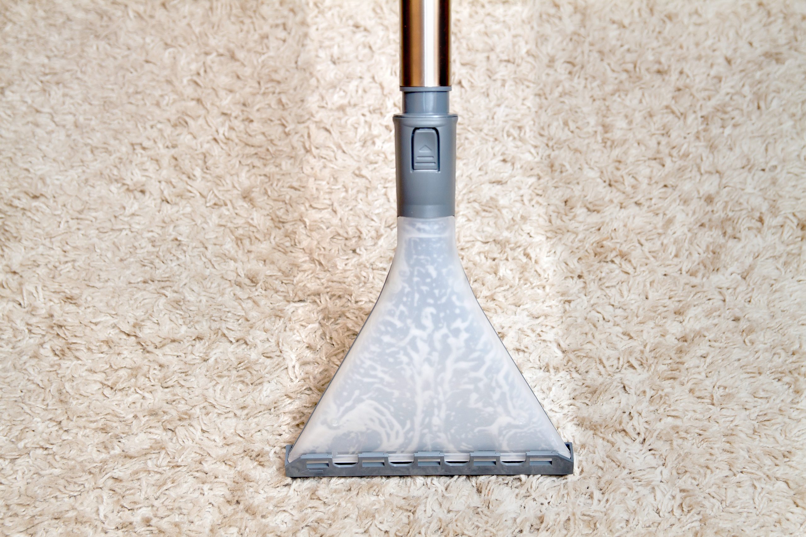 Carpet cleaning vacuum cleaner.